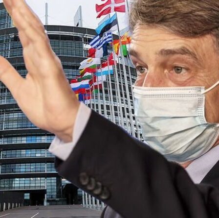 Révolte de l'UE: les eurodéputés se rebellent et ordonnent à Sassoli de faire demi-tour précipitamment pour tenter de plaire à Macron