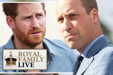 Royal Family LIVE: Harry et William coupent le contact alors que les experts découvrent un indice de querelle dévastateur