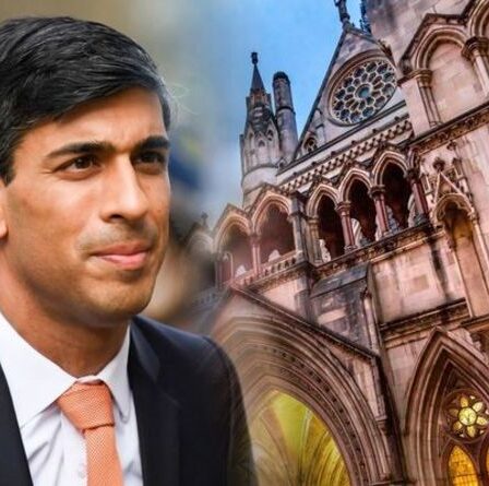 SEISS: Rishi Sunak doit faire face à un appel de la Cour concernant les règles d'admissibilité à la maternité