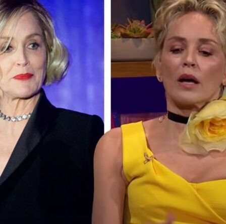Sharon Stone décrit son expérience de mort imminente d'un accident vasculaire cérébral comme `` étrange et belle ''