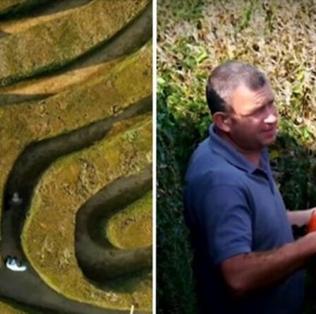`` Soyez honnête '' Matt Baker sonde le gardien du plus grand labyrinthe d'if du Royaume-Uni - Comment entretenir les haies