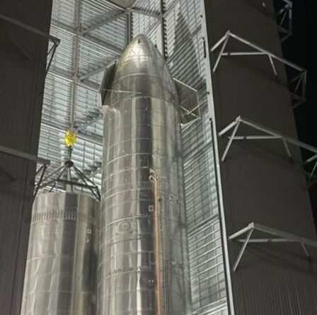 SpaceX: Elon Musk taquine l'image du dernier prototype de vaisseau spatial - Quand le SN16 volera-t-il?