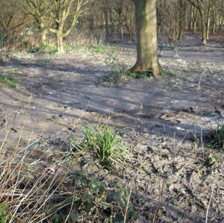 Thames Water condamné à une amende de 4 millions de livres sterling après l'avalanche d'un parc d'inondations d'eaux usées brutes