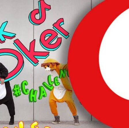 TikTok utilise toutes vos données?  La dernière mise à jour de Vodafone pourrait aider