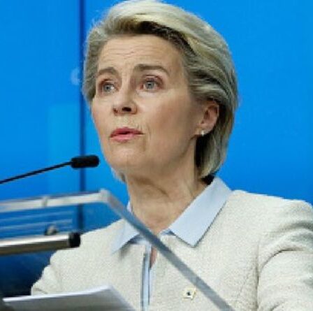 'Très humble!'  La remarque jubilatoire de VDL se retourne contre les nouvelles règles de l'UE pour arrêter les fausses nouvelles