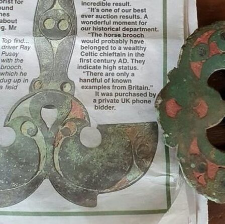 Un client de démarrage de voiture étonné de voir que le harnais pour chevaux de 10 £ se vend à des milliers de dollars `` doit être une blague! ''