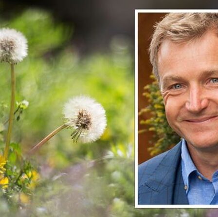 Un expert en jardinage partage un avertissement concernant le désherbage - `` Les plantes vont avoir du mal ''