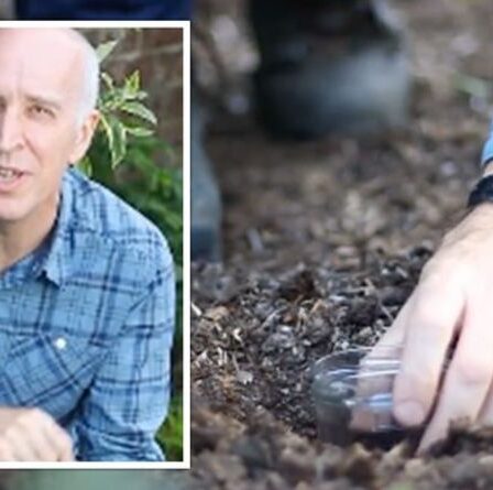Un expert en jardinage partage un hack de pot de confiture pour piéger et tuer le `` ravageur numéro un du pays ''