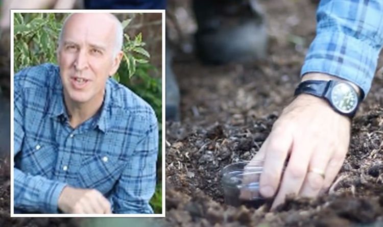 Un expert en jardinage partage un hack de pot de confiture pour piéger et tuer le `` ravageur numéro un du pays ''