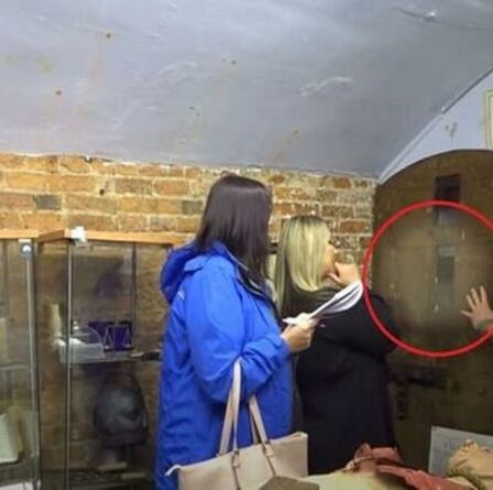 Un facteur `` sidéré '' par une `` apparition fantomatique '' filmé