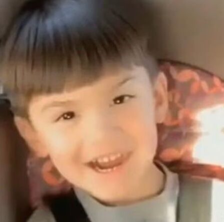 Un garçon de 6 ans a été abattu par un homme armé après que sa mère leur a juré sur une autoroute