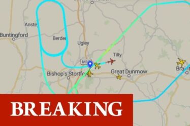 Urgence en vol Ryanair: un avion émet un `` 7700 squawk '' dans le ciel au-dessus de l'aéroport de Stansted