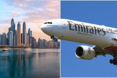 Vacances à Dubaï: le patron d'Emirates optimiste que les Émirats arabes unis devraient être `` hors de la liste rouge très bientôt ''