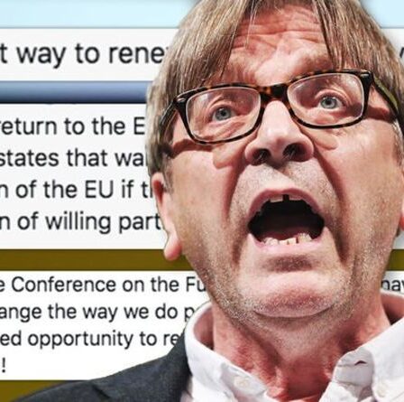 Verhofstadt se moque du renouvellement de la démocratie dans l'UE tweet "Le meilleur moyen est de partir!"