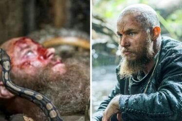 Vikings: les fans ont convaincu que Ragnar Lothbrok a survécu à la fosse aux serpents - voici comment