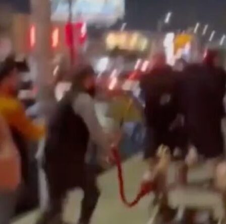 Violence à Los Angeles alors que des foules palestiniennes attaquent des juifs dans la rue au milieu des tensions au Moyen-Orient