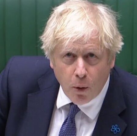 `` Vous voulez tirer le pont-levis et être dirigé par le SNP bruxellois '' Boris sauvage sur la position du Brexit