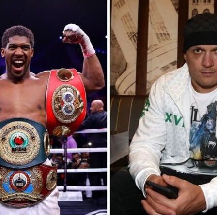 WBO ordonnera à Anthony Joshua vs Oleksandr Usyk dans les prochaines 48 heures avec Fury vs Wilder 3 sur
