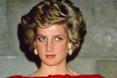 La famille royale `` n'a pas compris '' la `` demande d'authenticité '' ou la bataille sanitaire de Diana