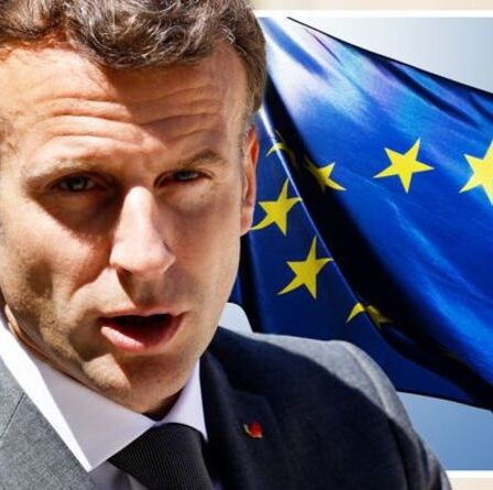 Typique!  Les responsables français utiliseront la présidence de l'UE pour `` aider Macron à se faire réélire ''