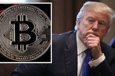 Bitcoin devrait être une "monnaie universelle" malgré l'affirmation "d'arnaque" de Donald Trump