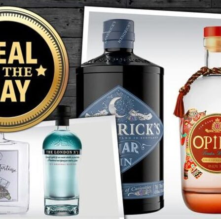 OFFRE DU JOUR : 14 gins avec d'énormes remises juste à temps pour la Journée mondiale du gin