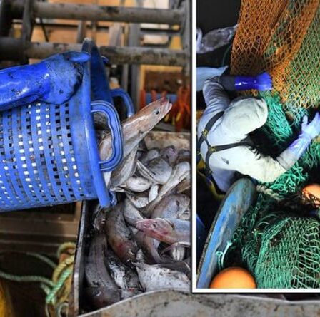 Fureur de la pêche: le nouvel accord sur le Brexit signifie que 1 600 bateaux de l'UE peuvent piller les eaux britanniques pour 2021