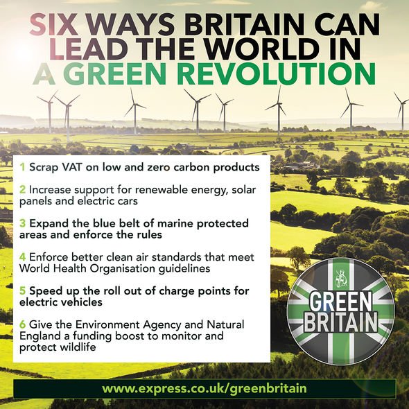 Six façons dont la Grande-Bretagne peut mener la révolution verte
