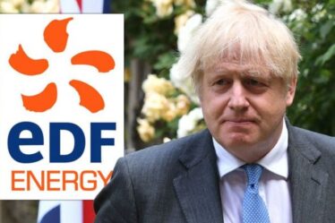 Cauchemar énergétique d'EDF : une entreprise française évoque le "risque" de fermeture anticipée des centrales nucléaires britanniques