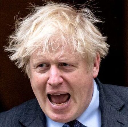 Fureur du Brexit: les manifestants exhortent Boris à retirer les règles de l'UE «moralement répugnantes»