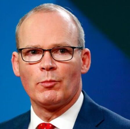 « Personne ne leur a demandé ! »  Le Brexiteer fait taire Coveney alors qu'il déchire un accord "inconstitutionnel" avec l'UE