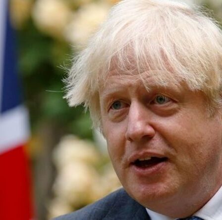 Avertissement Brexit: Boris Johnson "reconnaît maintenant le désastre qu'il a fait" avec le protocole