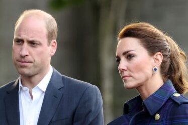 L'image de la «vie de famille idyllique» du prince William et Kate pourrait être défaite par Harry et Meghan