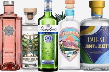 11 meilleurs gins sans alcool au Royaume-Uni pour 2021