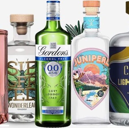 11 meilleurs gins sans alcool au Royaume-Uni pour 2021