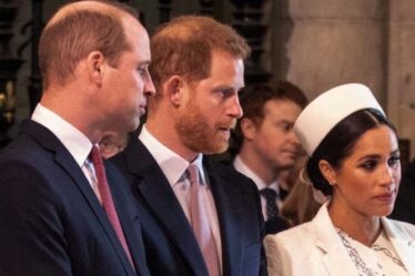 Meghan Markle appelée «impitoyable» par le prince William – la dispute amère avec Harry continue
