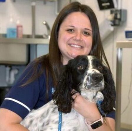 L'amour des animaux aide une infirmière vétérinaire à passer le GCSE en mathématiques malgré 18 échecs