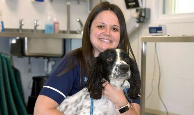 L'amour des animaux aide une infirmière vétérinaire à passer le GCSE en mathématiques malgré 18 échecs