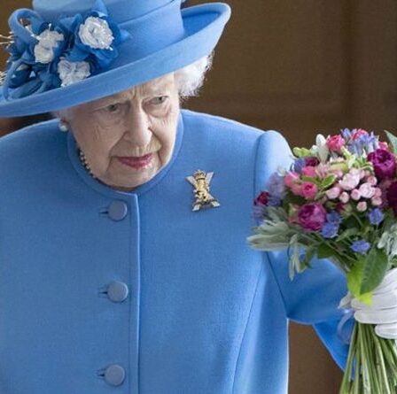 Décamper!  Les fans de la famille royale se déchaînent avec un cliché candide de «Queen Bee»