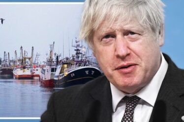 Pêche écossaise au bord du gouffre: les chalutiers «en mode survie» font face à un trou noir de 23 millions de livres sterling – la fureur du Brexit