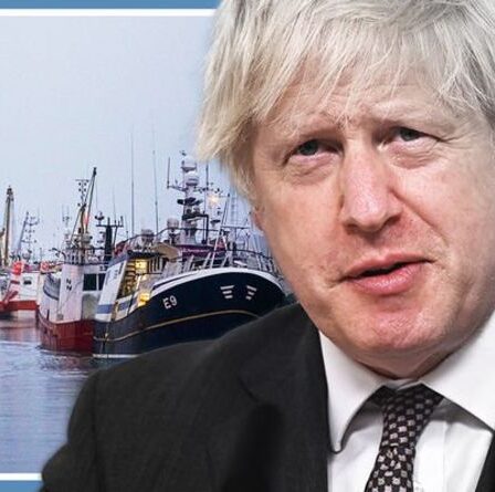 Pêche écossaise au bord du gouffre: les chalutiers «en mode survie» font face à un trou noir de 23 millions de livres sterling – la fureur du Brexit