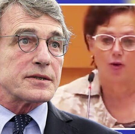 L'eurodéputé furieux que la France soit écartée du complot d'élargissement de l'UE : « Nous ne serons JAMAIS consultés !