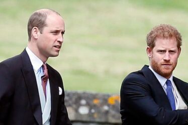 Le prince Harry et le prince William tiendront une réunion privée après des «mois» de collaboration