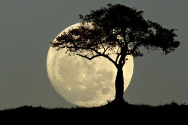 A quelle heure est la Pleine Lune ce soir ?  Ne manquez pas la dernière Super Lune de l'année