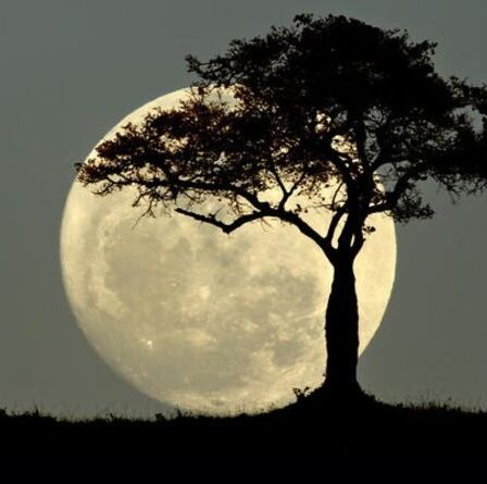 A quelle heure est la Pleine Lune ce soir ?  Ne manquez pas la dernière Super Lune de l'année