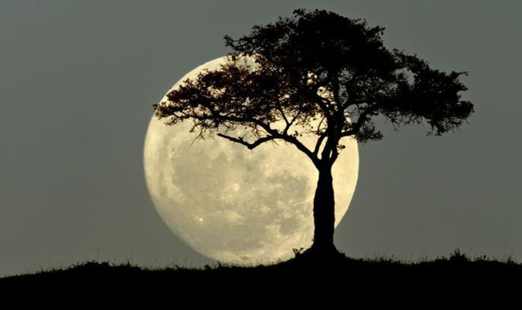 A quelle heure est la Pleine Lune ce soir ?  Ne manquez pas la dernière Super Lune de l'année