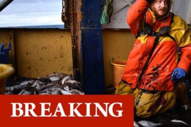 Accord de pêche sécurisé!  Brexit La Grande-Bretagne et l'UE conviennent de nouvelles conditions - une opportunité de 333 millions de livres sterling pour le Royaume-Uni