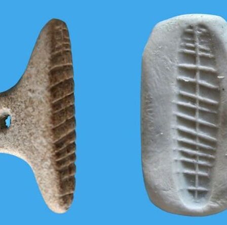 Actualités archéologiques : un sceau préhistorique vieux de 7 000 ans découvert en Israël est antérieur à l'écriture