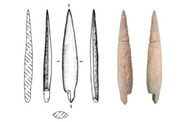Actualités archéologiques : une ancienne pointe de flèche en os pourrait prouver que le siège biblique de Gath a eu lieu