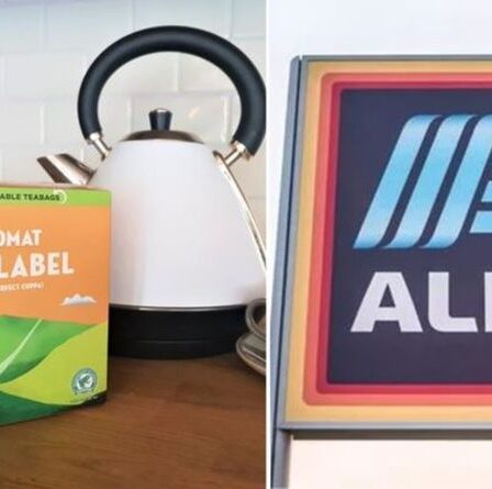 Aldi annonce l'entrée en vigueur d'une nouvelle interdiction dans tous les magasins d'ici la fin de l'année